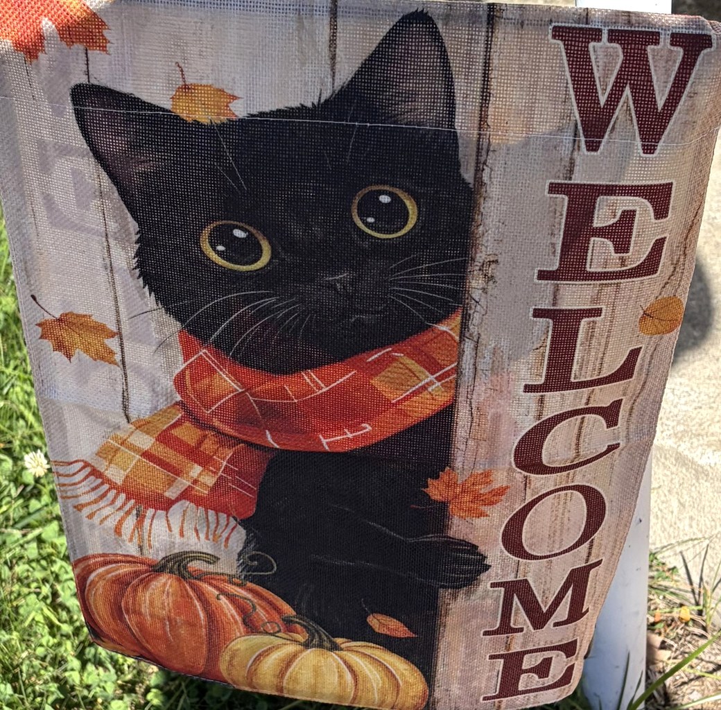 Black cat welcome flag with autumn leaves and pumpkins